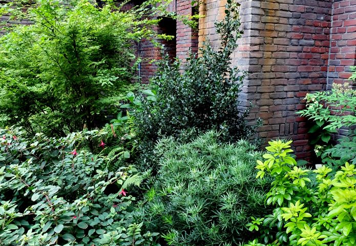 Maak kennis met de 'geheimen' van tuinarchitect Harry Pierik